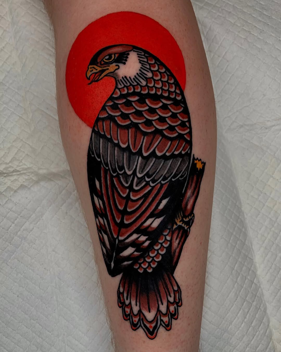 Bold hawk tattoo with striking red background