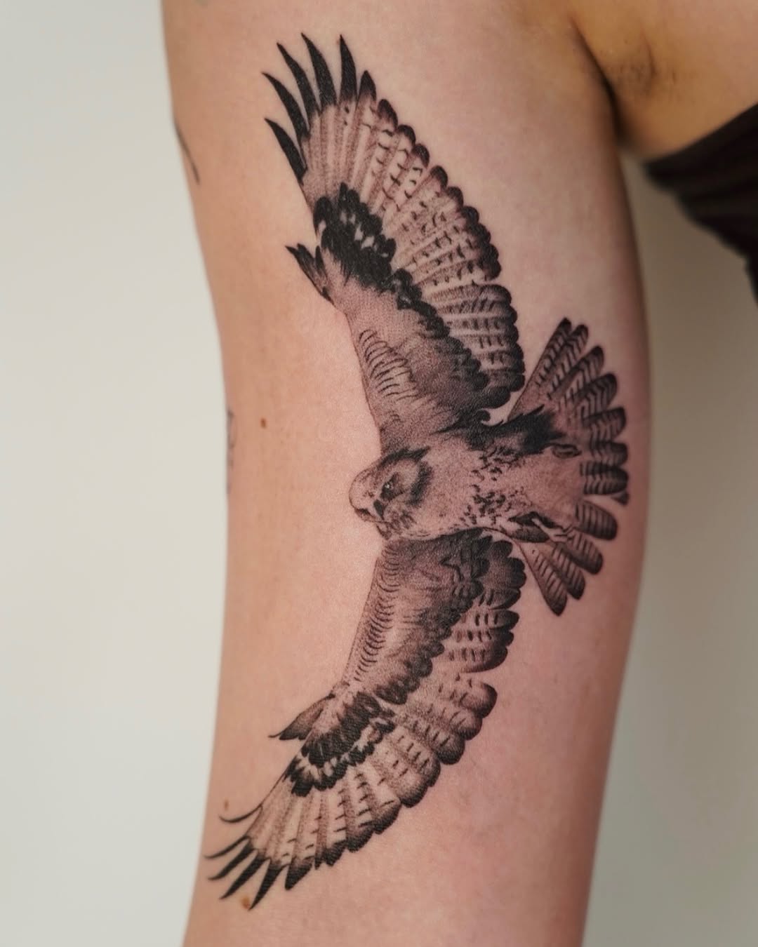 Stunning Hawk Tattoo in Flight Display