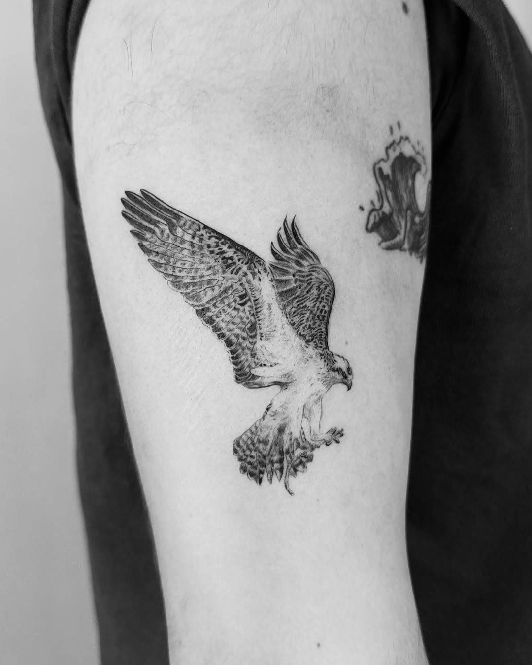 Stunning detailed hawk tattoo in flight
