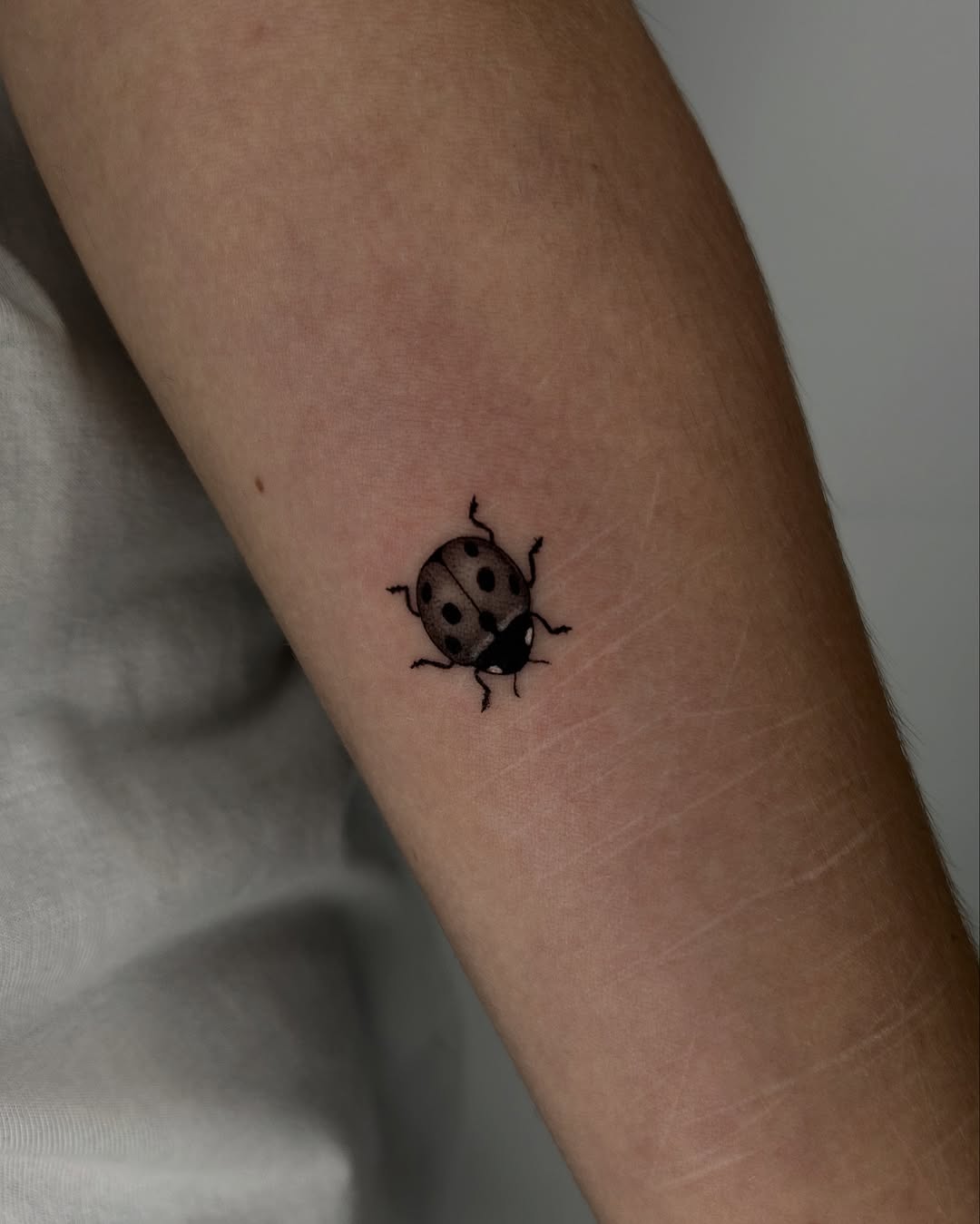 Charming ladybug tattoo with a minimalist vibe