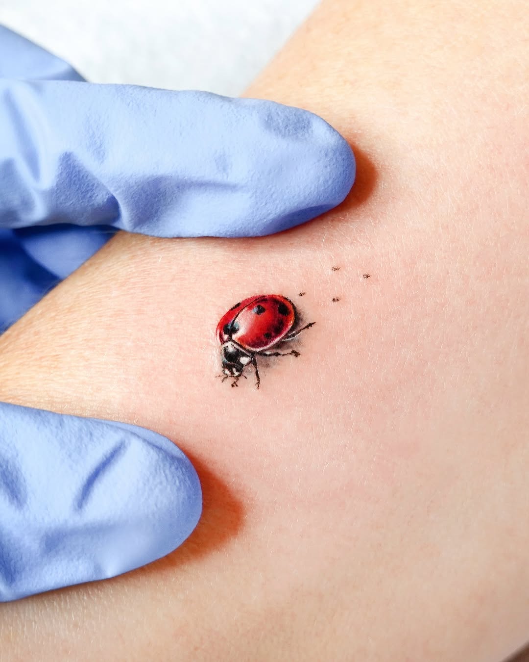 Charming ladybug tattoo with fine detailing