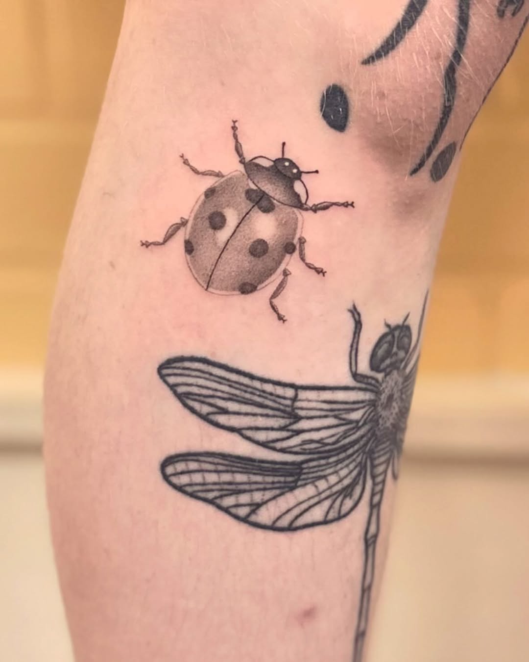 Realistic ladybug tattoo with intricate details