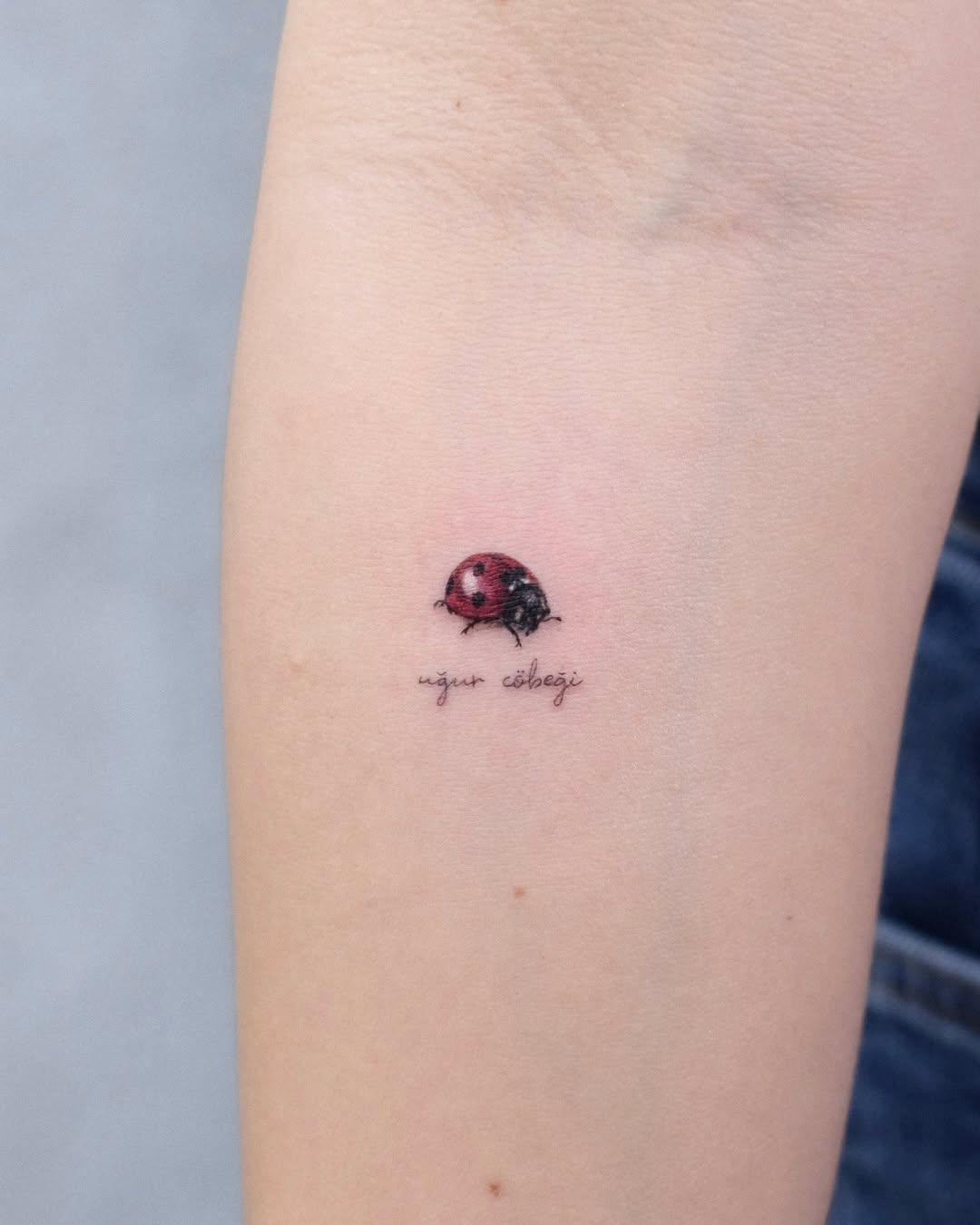 Charming ladybug tattoo with whimsical artistry