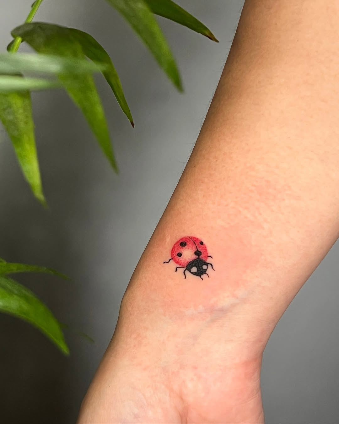 Charming ladybug tattoo on the wrist