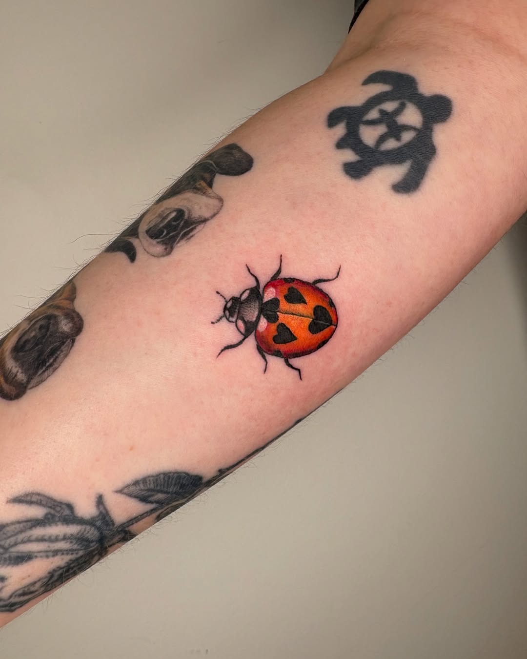 Vibrant ladybug tattoo on forearm