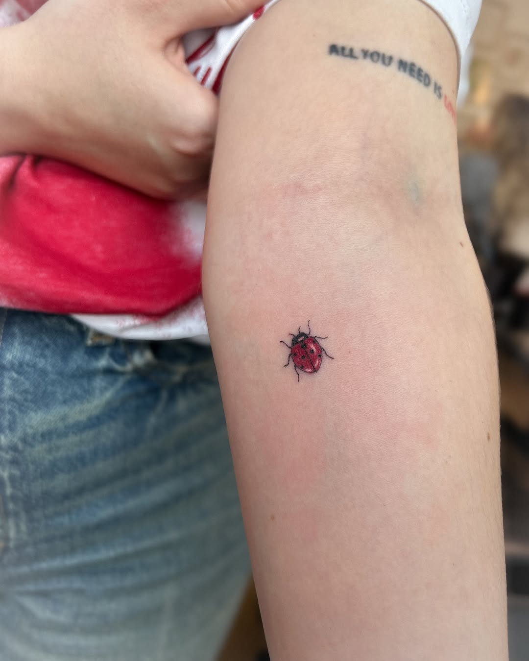 Charming small ladybug tattoo on arm
