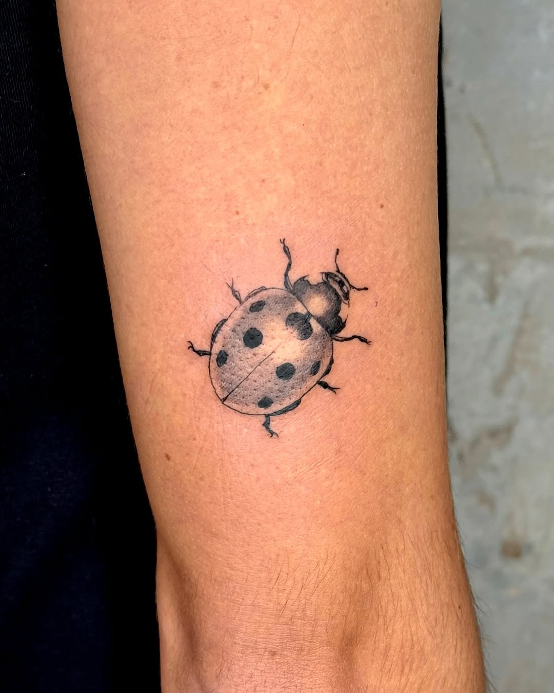 Realistic ladybug tattoo on arm