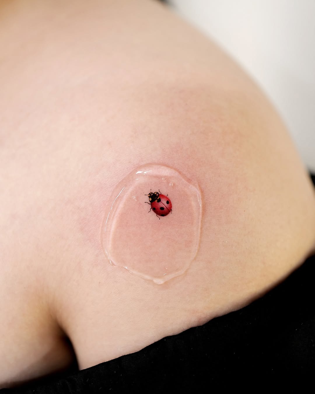 Realistic ladybug tattoo on shoulder skin
