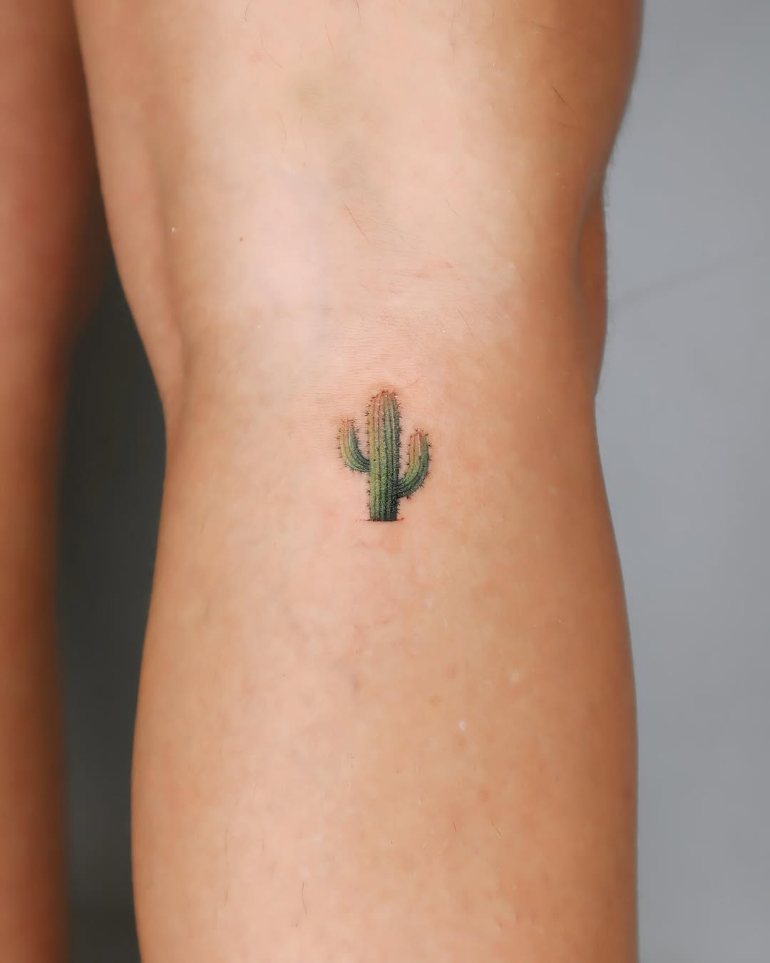 Charming small cactus tattoo on the leg
