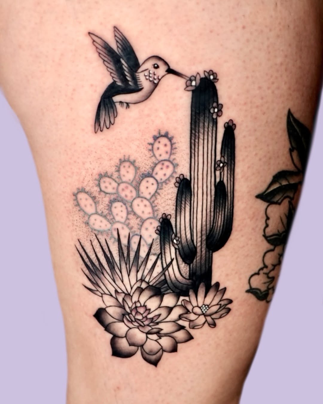 Charming cactus tattoo with a vibrant hummingbird