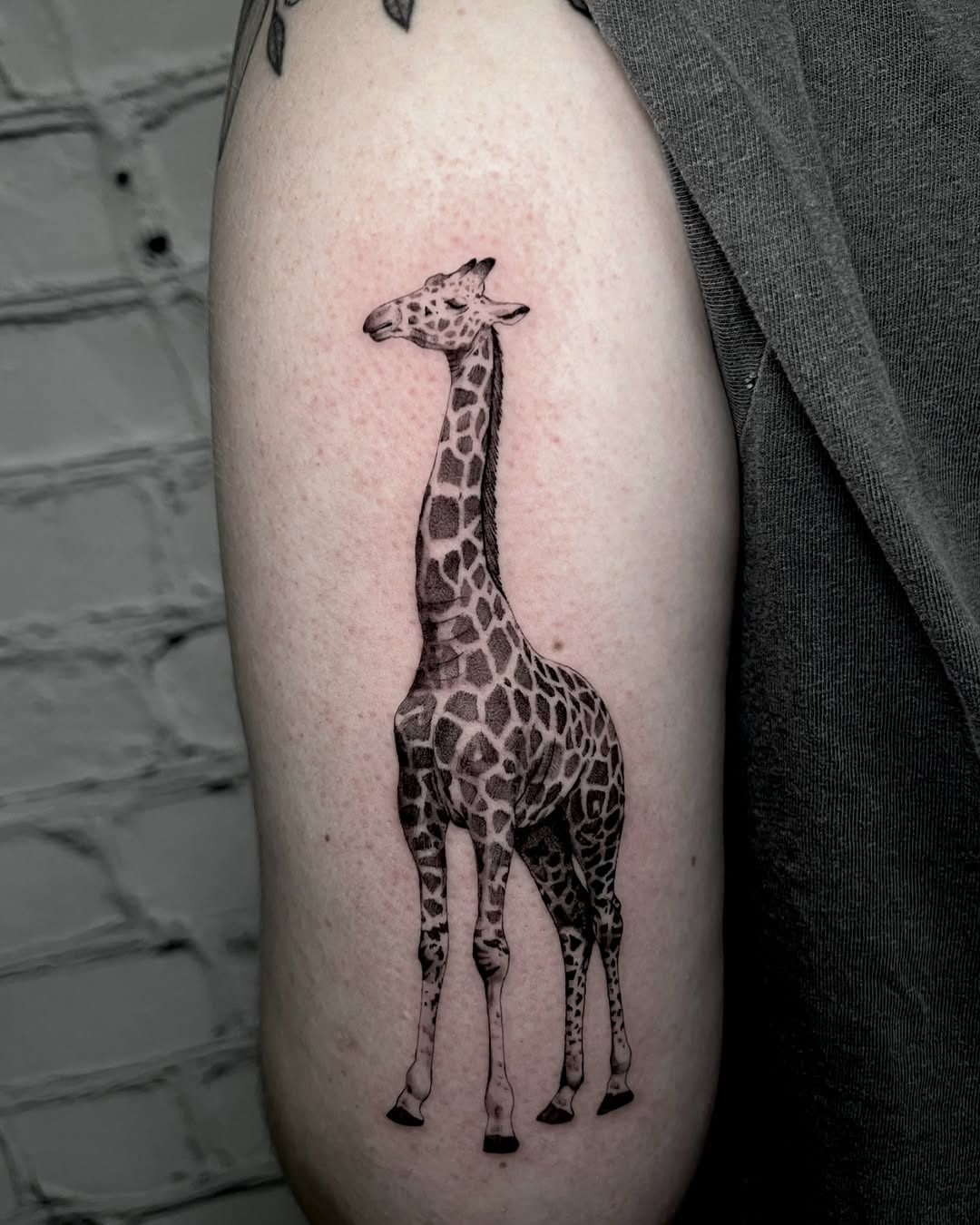 Detailed black and gray giraffe tattoo design