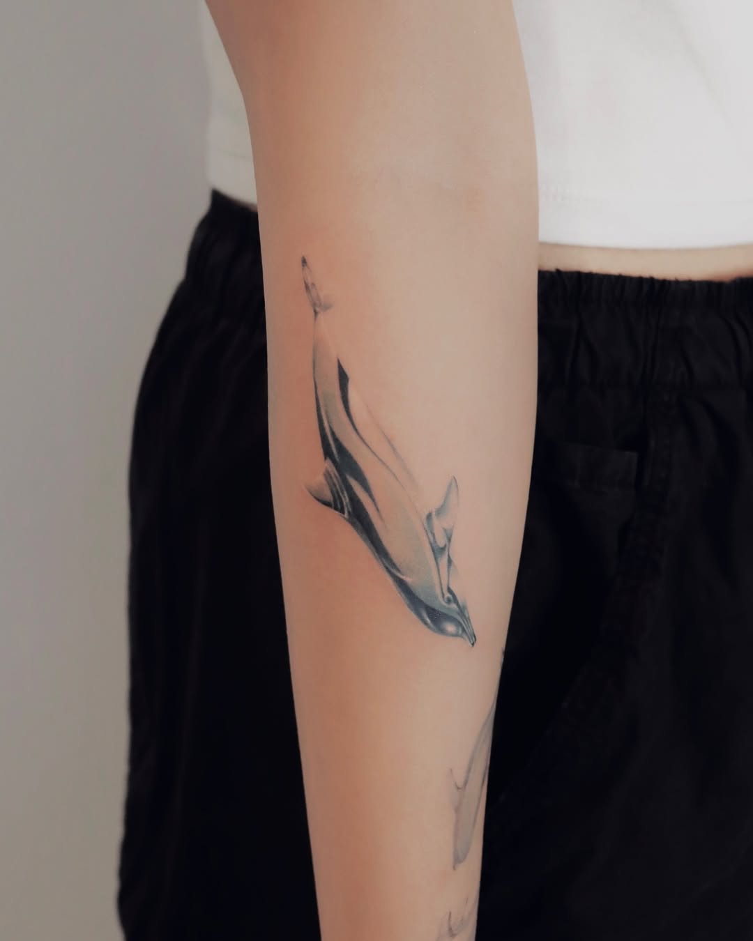 Elegant dolphin tattoo in black and grey.