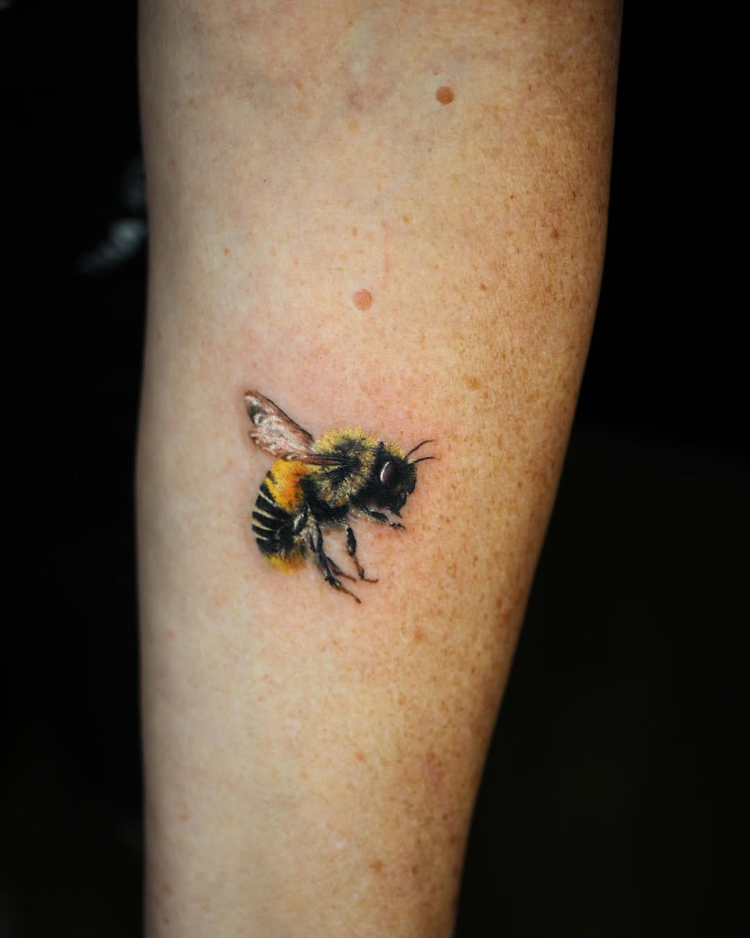 Stunning realistic bumblebee tattoo on arm