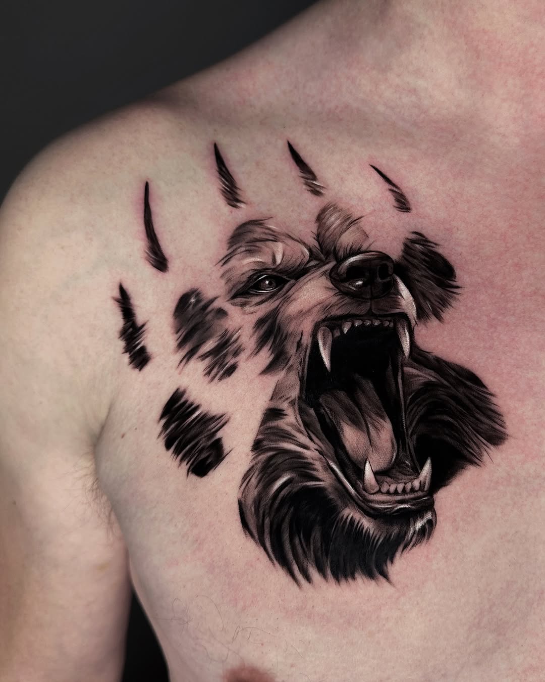 Fierce bear tattoo with claw marks