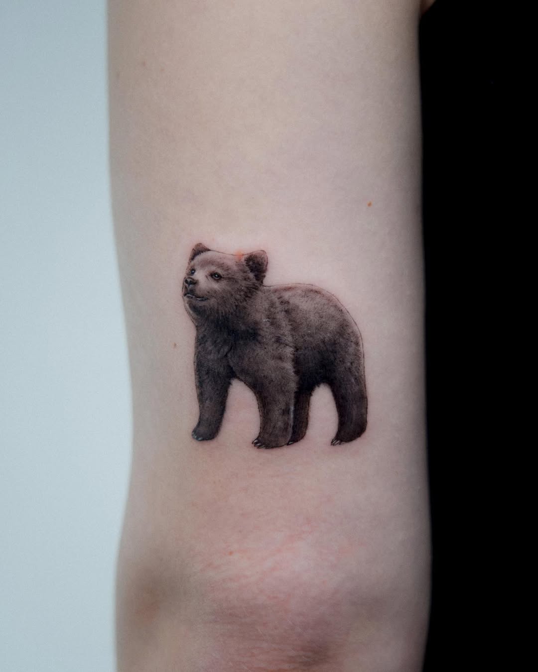 Realistic bear tattoo showcasing intricate details