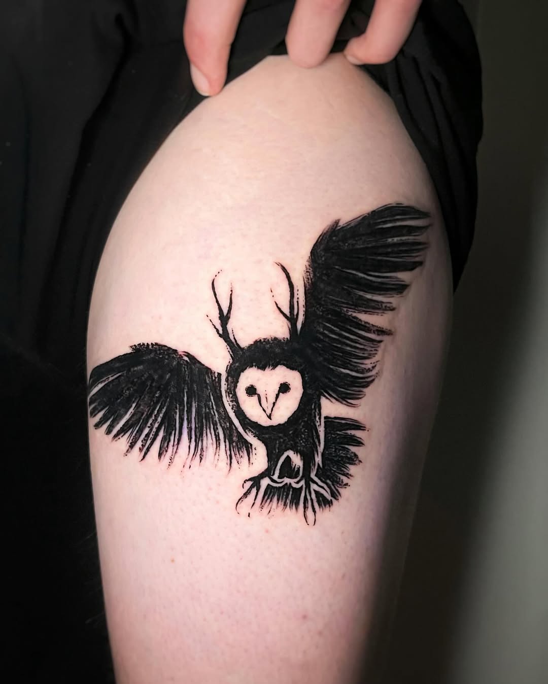 Stunning black ink owl tattoo in flight