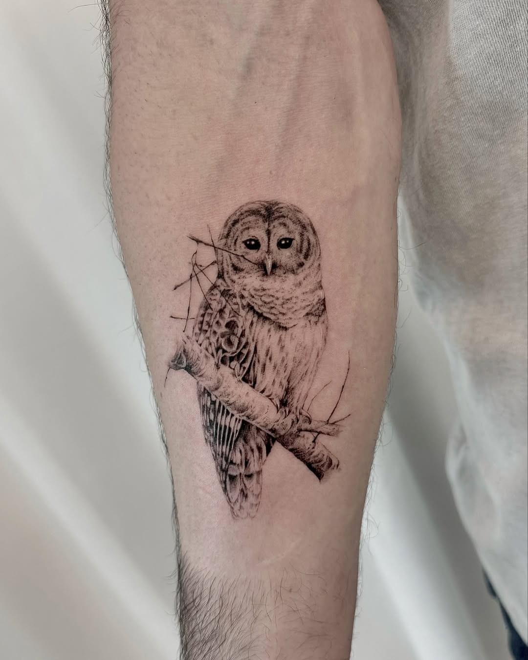Realistic owl tattoo on a forearm