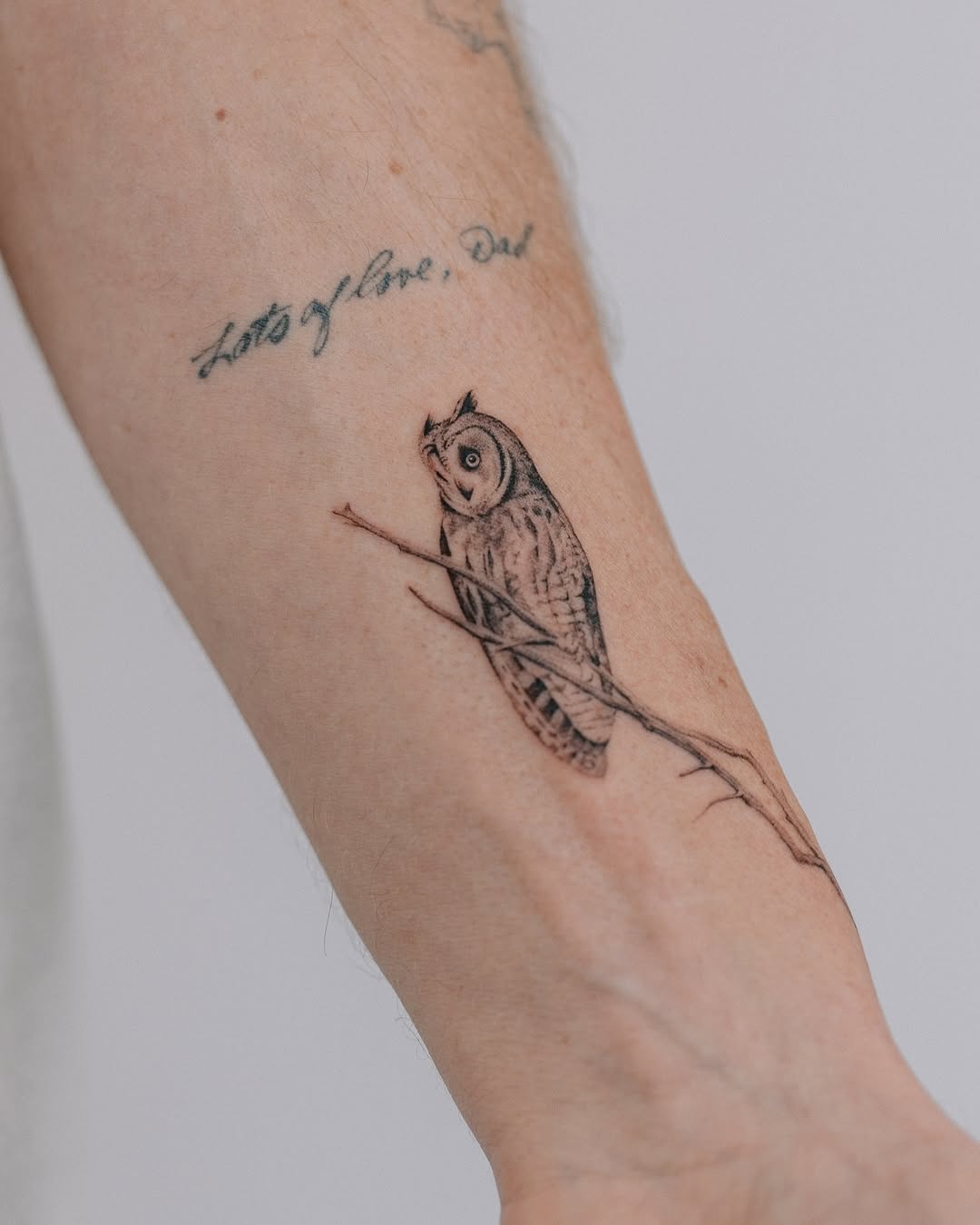 An elegant owl tattoo perched on a branch.