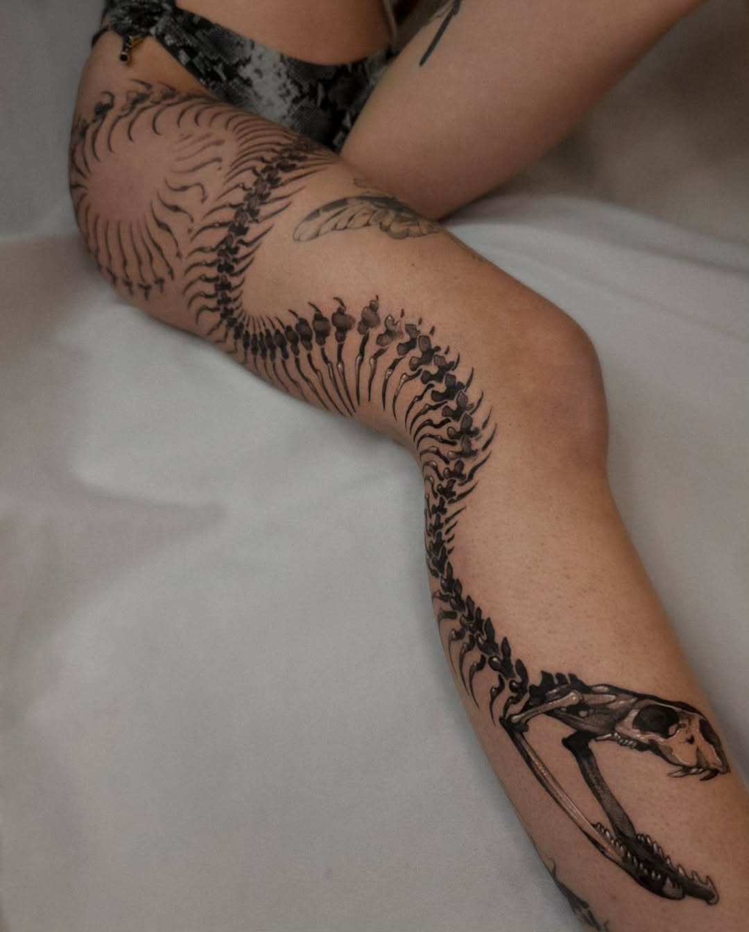 Intricate spine design showcasing a snake's elegance