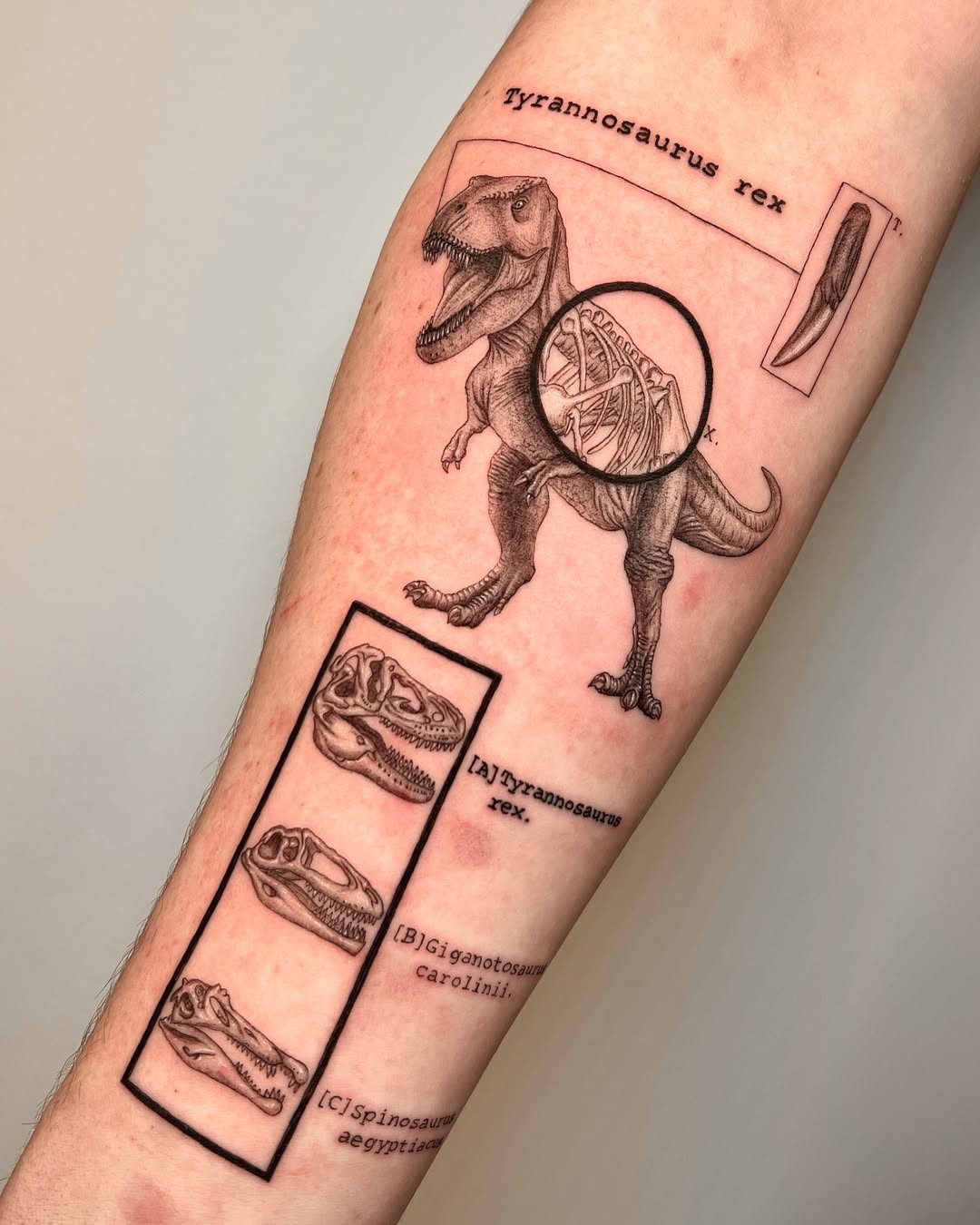 Intricate T-Rex Tattoo with Anatomical Details