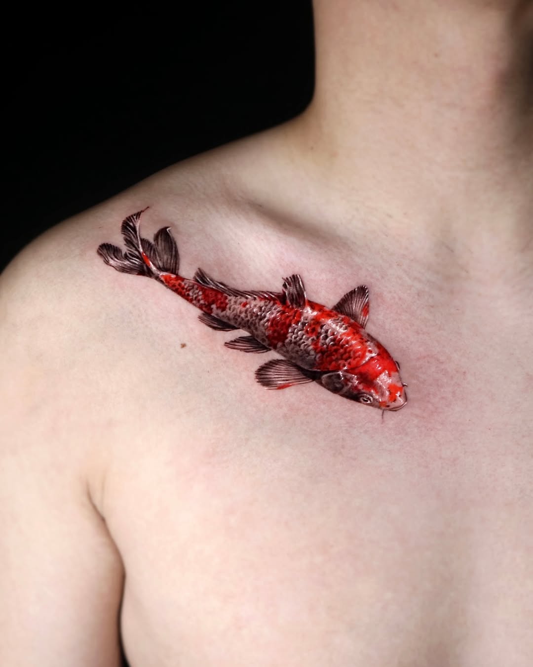 Stunning realistic koi fish tattoo on chest