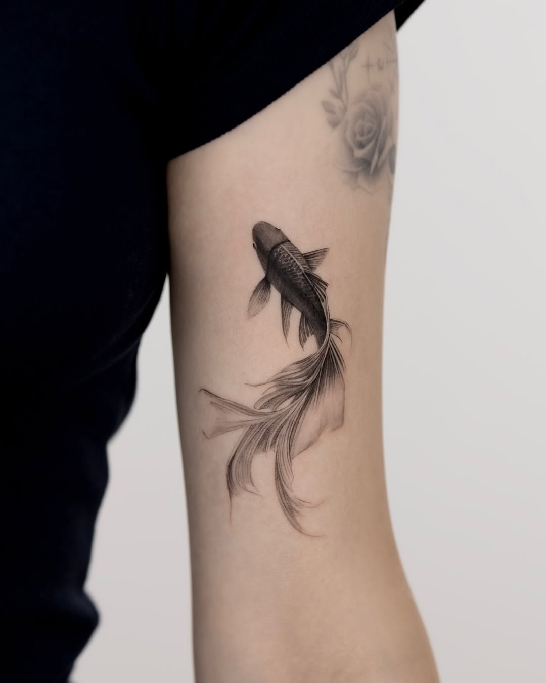 Elegant koi fish tattoo on a soft background
