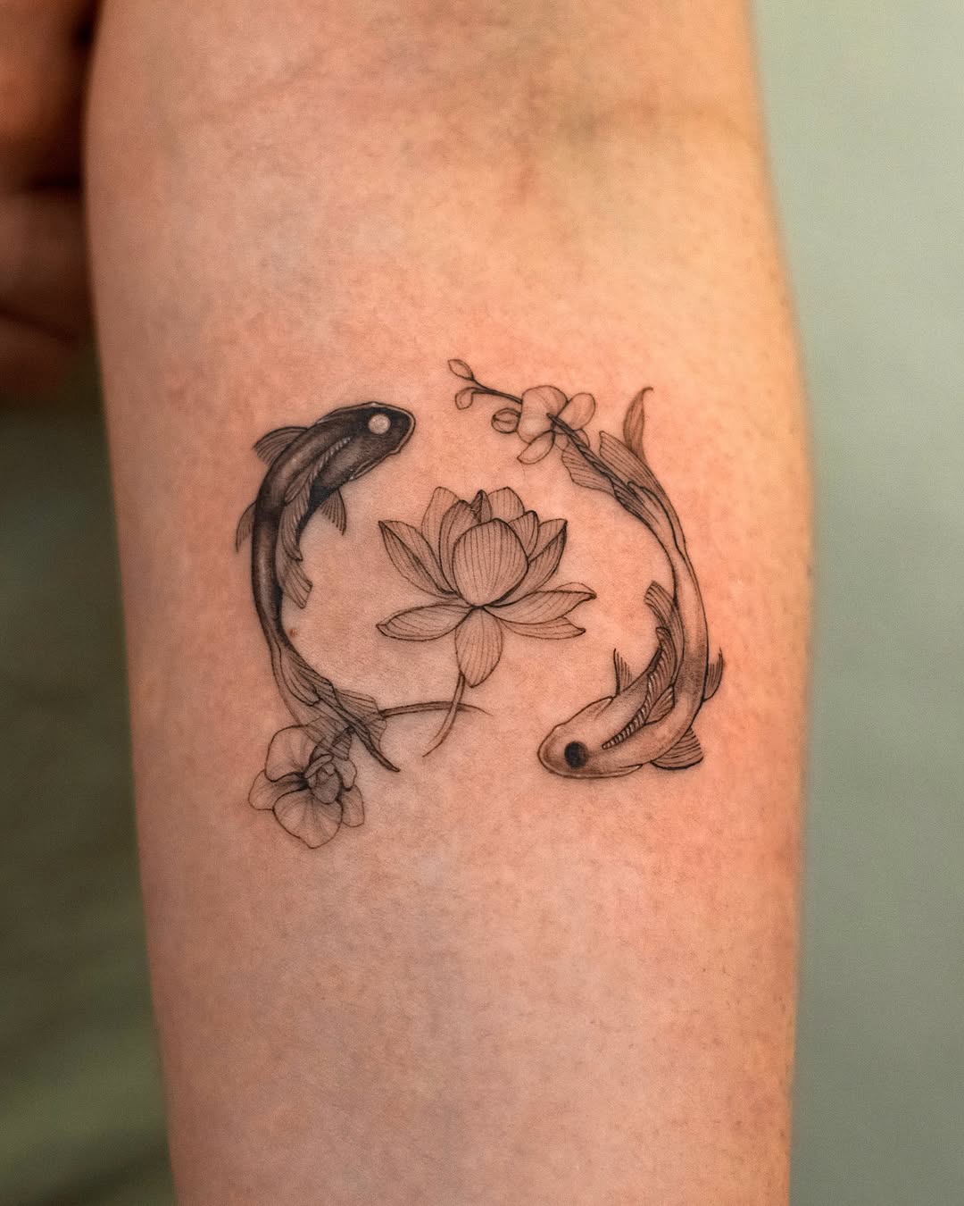 Delicate koi fish surrounded by floral elements