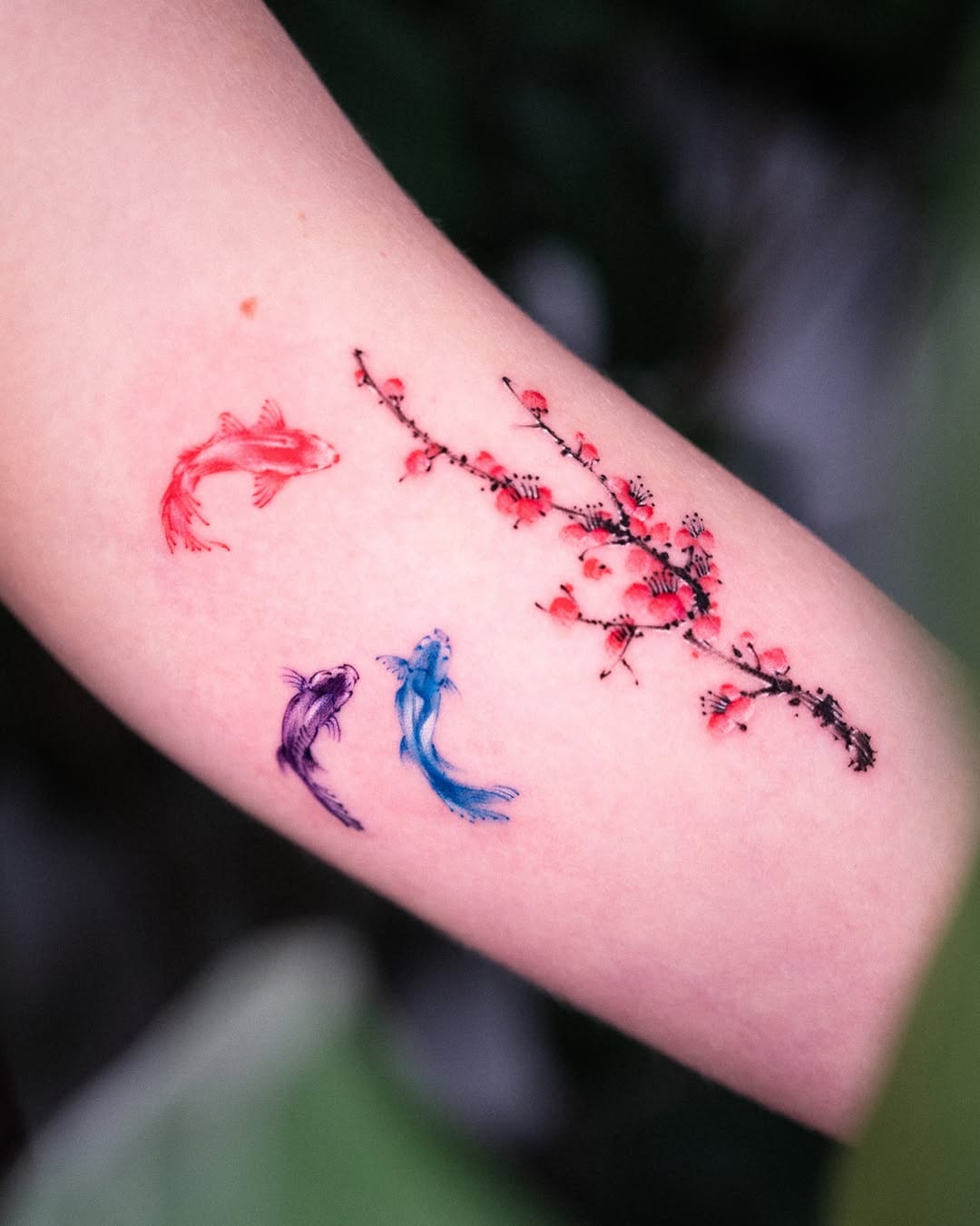 Colorful koi fish with floral elements tattoo