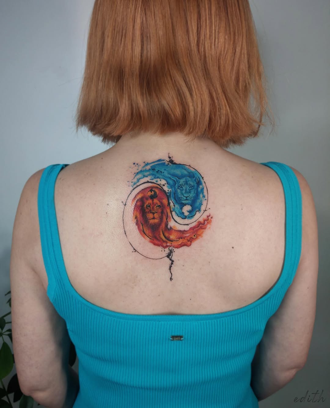 Colorful yin yang design with lion imagery