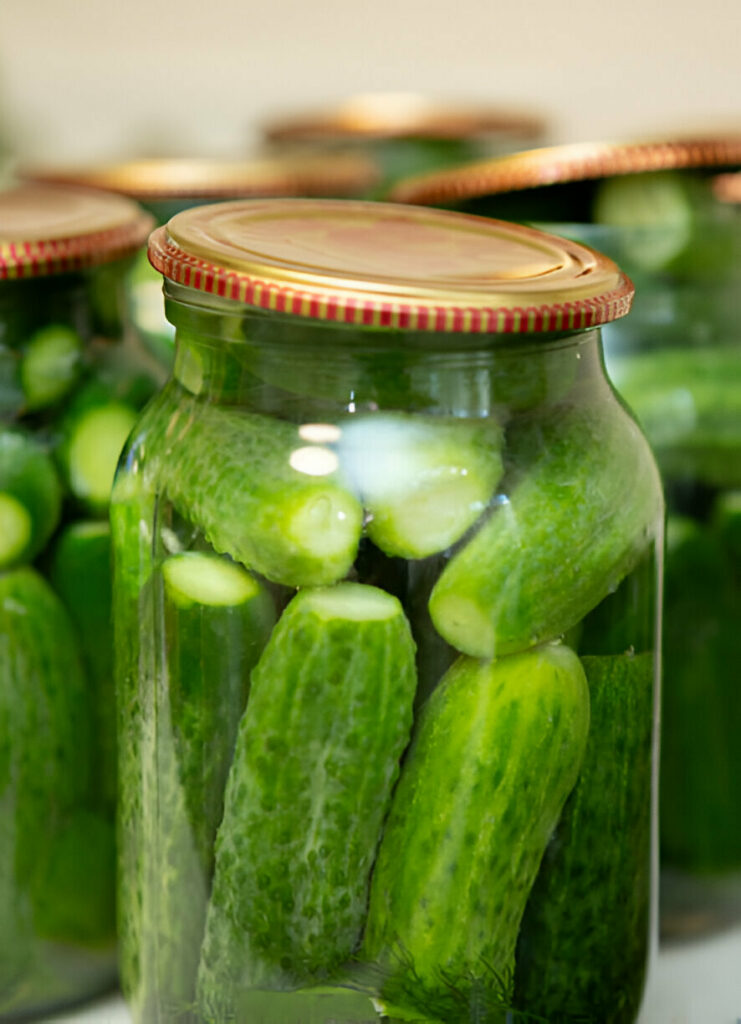 Dill Pickles Recipe